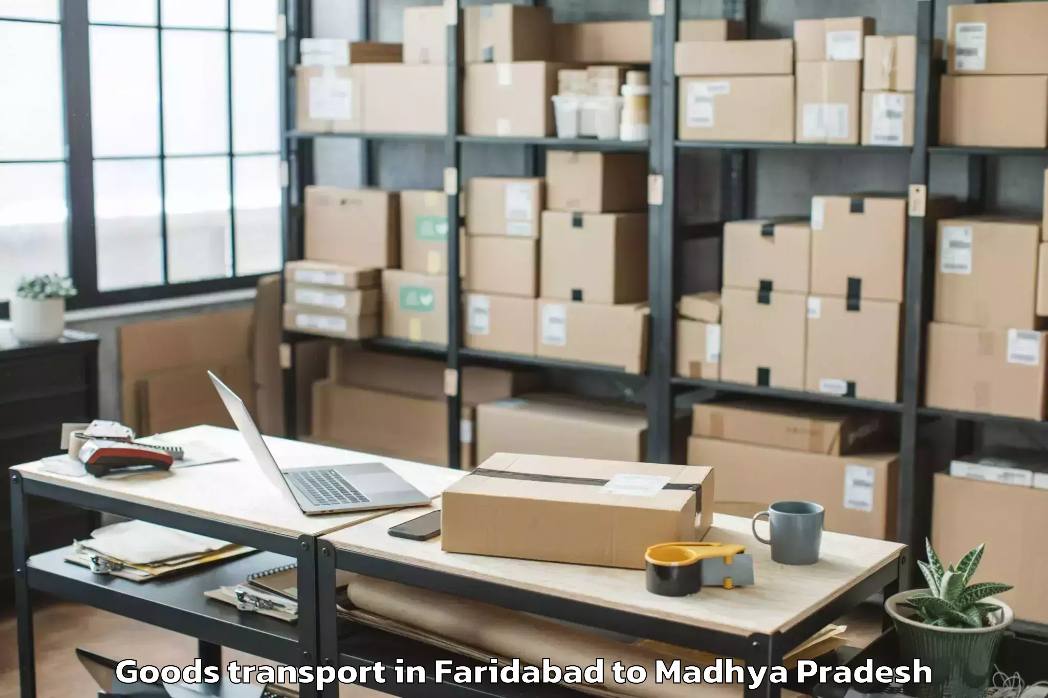 Faridabad to Lateri Goods Transport